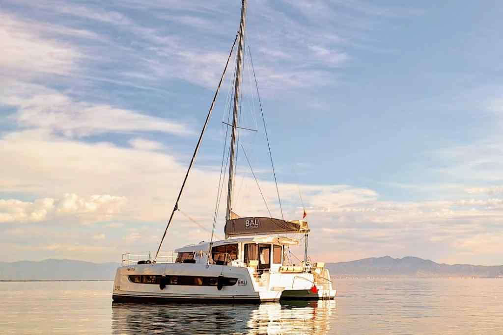 BALI CATSMART 38
